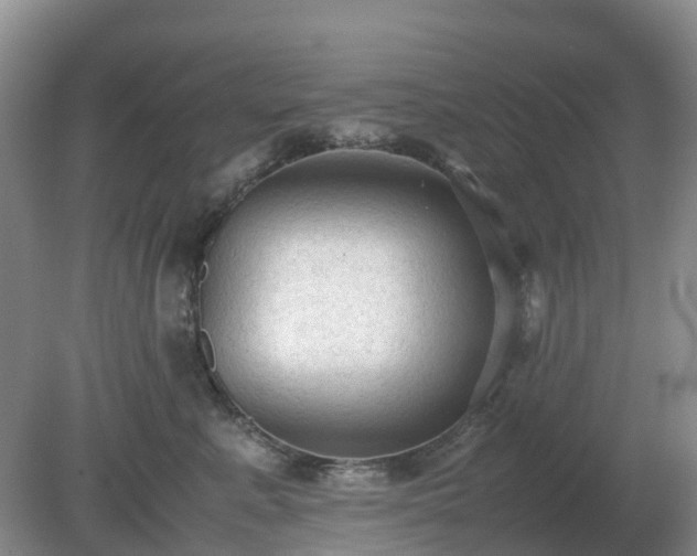 X0000079320619200611251806