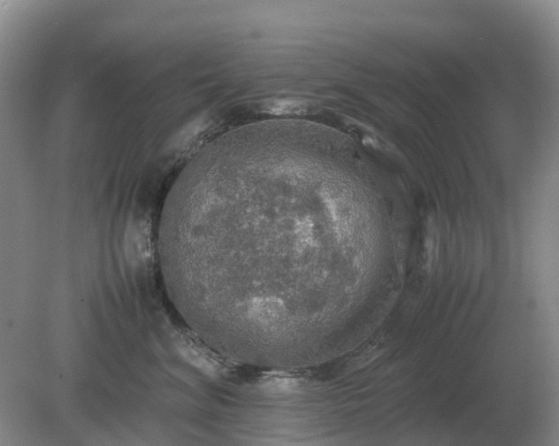 X0000079320620200611251806