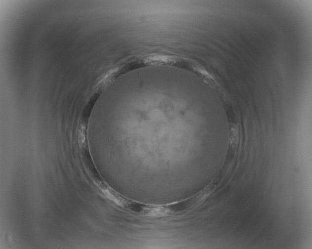 X0000079320621200611251806