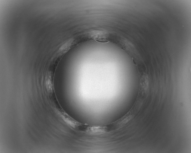 X0000079320622200611251806