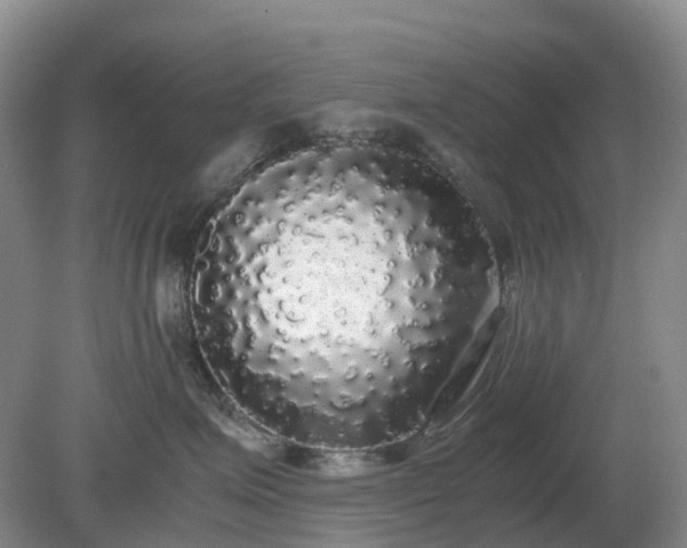 X0000079320623200611251806