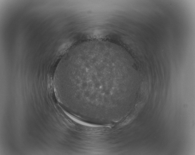 X0000079320624200611251806