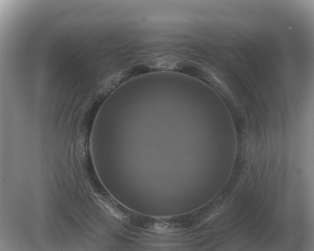 X0000079320641200611251805