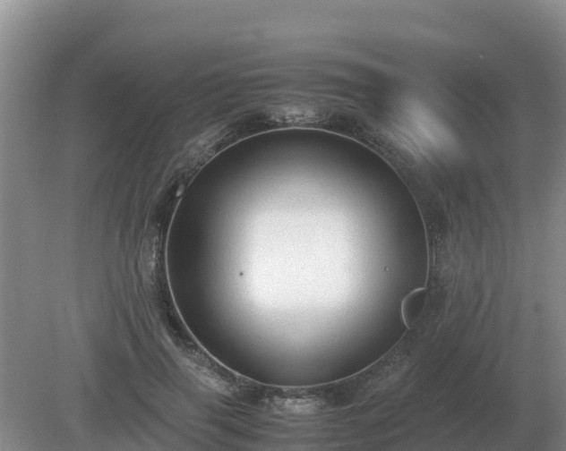 X0000079320645200611251806