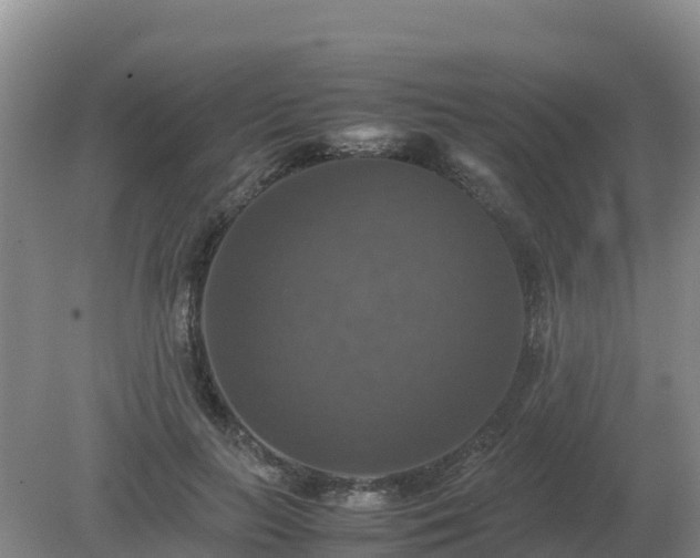 X0000079320647200611251806