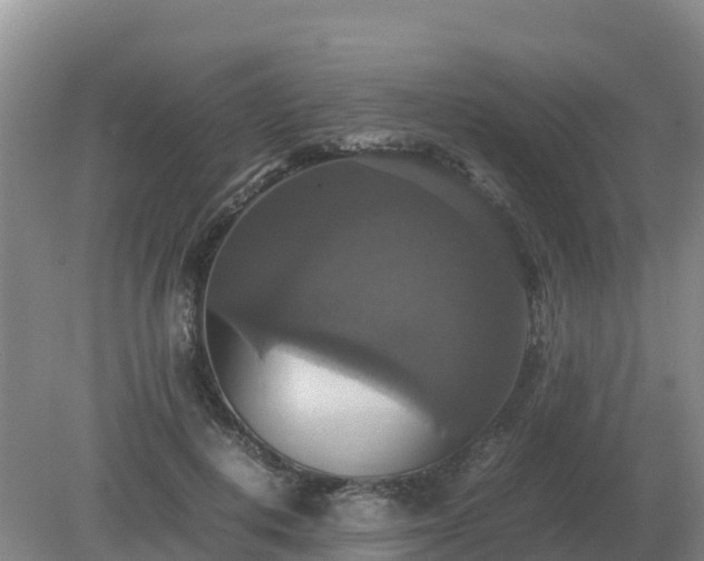 X0000079320648200611251806