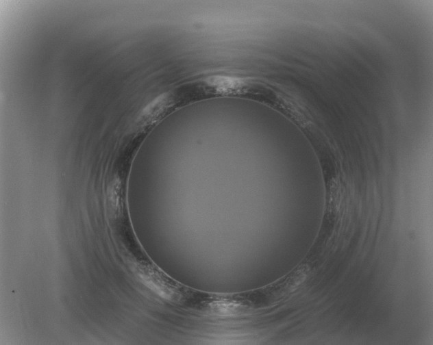 X0000079320650200611251806