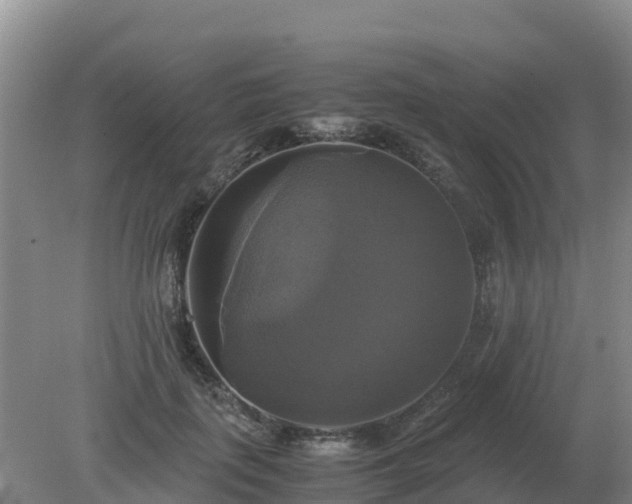 X0000079320651200611251806