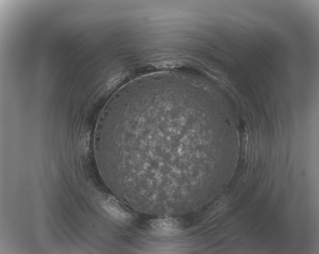 X0000079320652200611251806