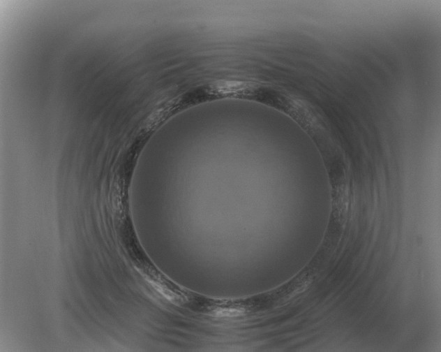 X0000079320653200611251806