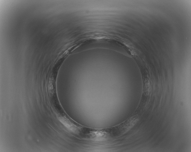 X0000079320654200611251806