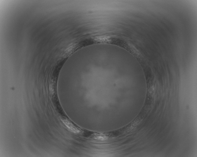 X0000079320658200611251806