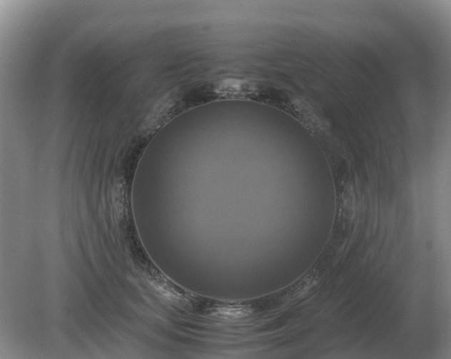 X0000079320659200611251806