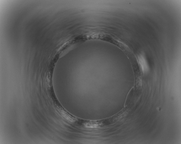 X0000079320661200611251806