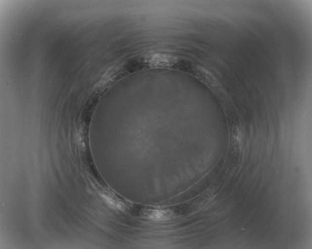 X0000079320663200611251806