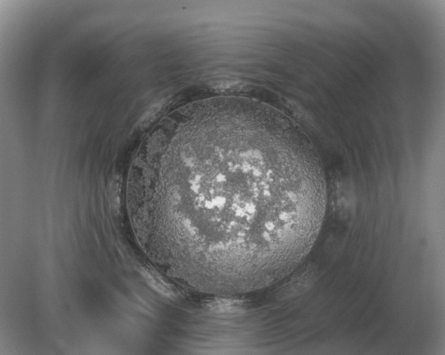 X0000079320664200611251806