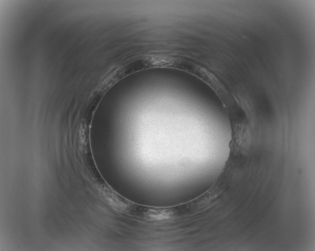 X0000079320667200611251806