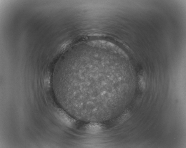 X0000079320668200611251806