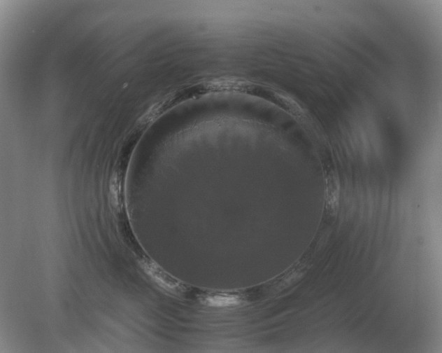 X0000079320669200611251806