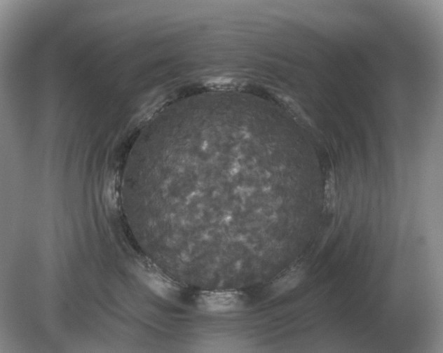 X0000079320671200611251806