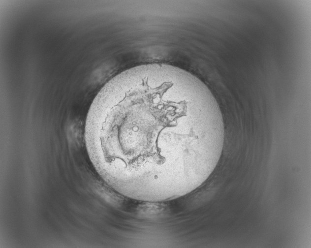 X0000079320672200611251806