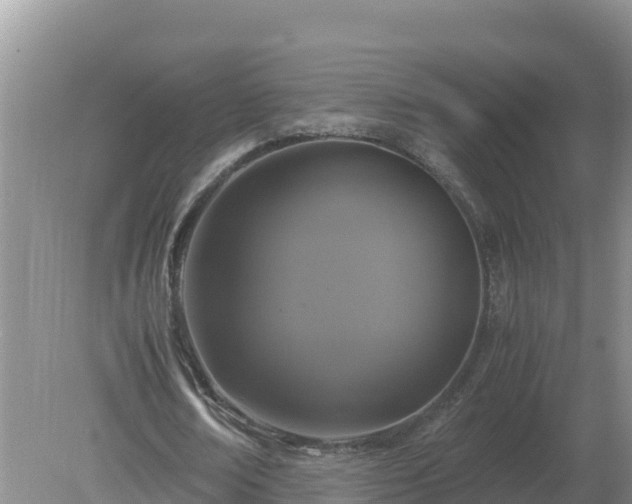 X0000079320674200611251805