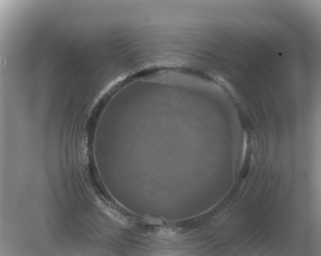 X0000079320684200611251805