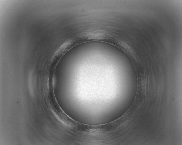X0000079320686200611251805