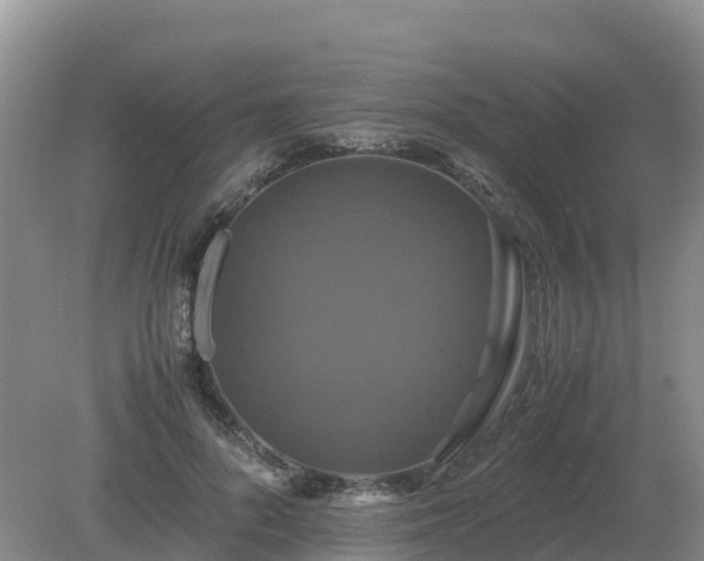 X0000079320696200611251805