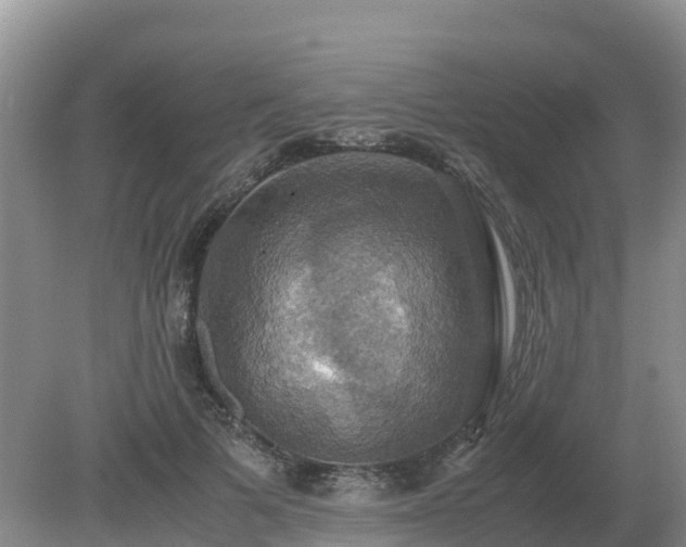 X0000079320697200611251805