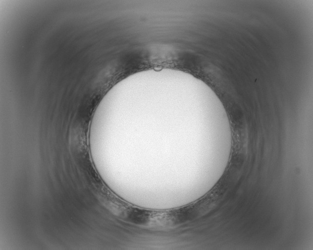 X0000079320705200611251805