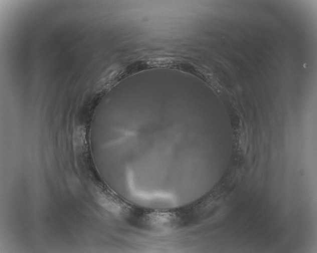 X0000079320711200611251805