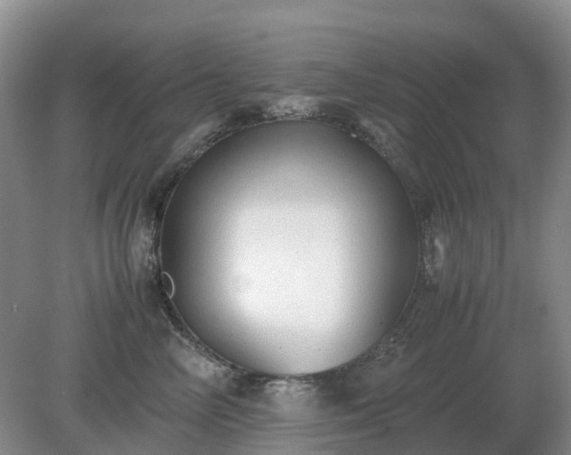 X0000079320714200611251804