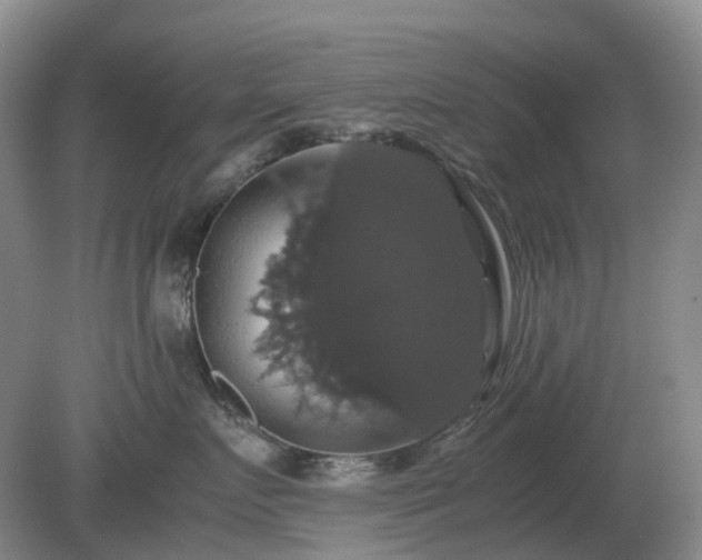 X0000079320719200611251804