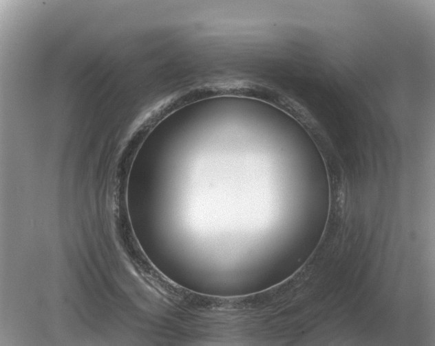 X0000079320732200611251804