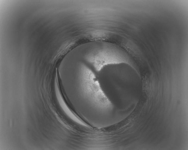 X0000079320742200611251804