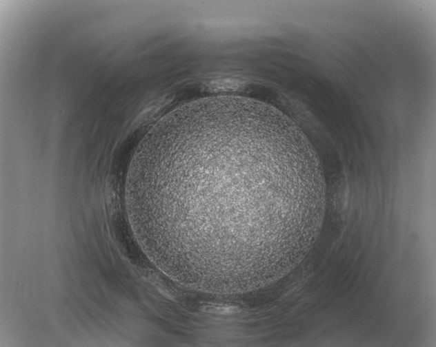 X0000079320743200611251804