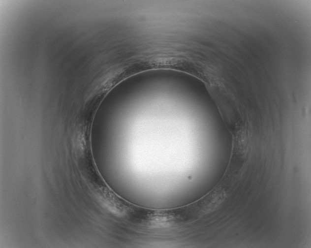 X0000079320746200611251804