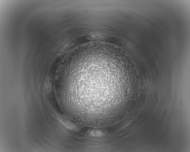 X0000079320751200611251804