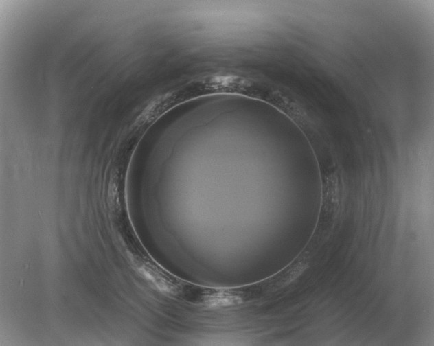 X0000079320754200611251804