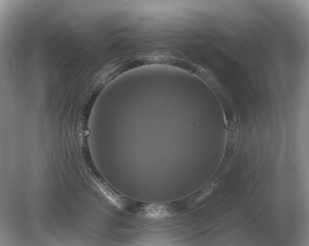 X0000079320762200611251804