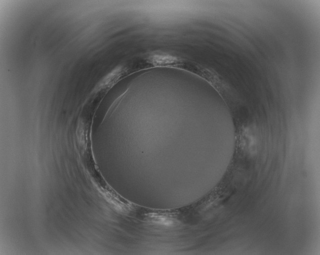 X0000079320763200611251804