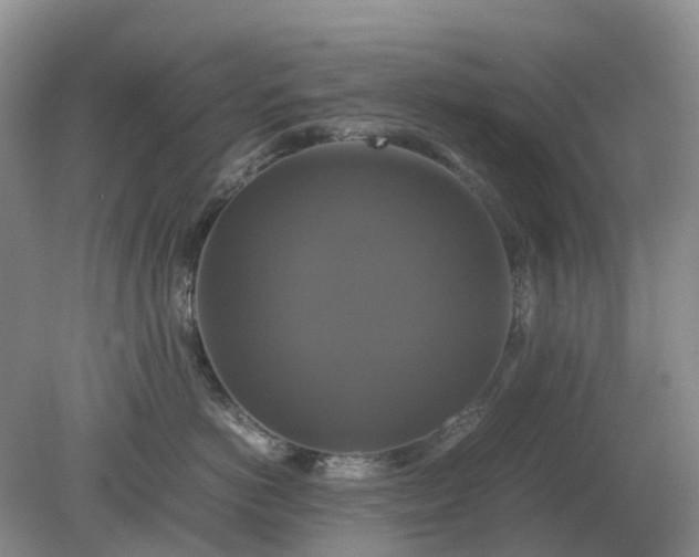 X0000079320766200611251804