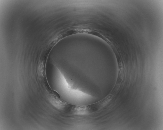 X0000079320767200611251804