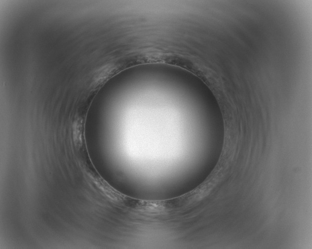 X0000079320768200611251804