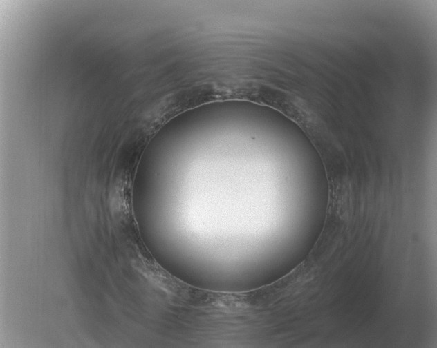 X0000079320770200611251804