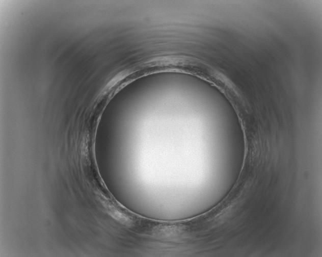 X0000079320778200611251803