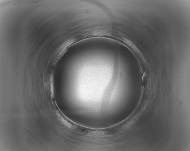 X0000079320801200611251803