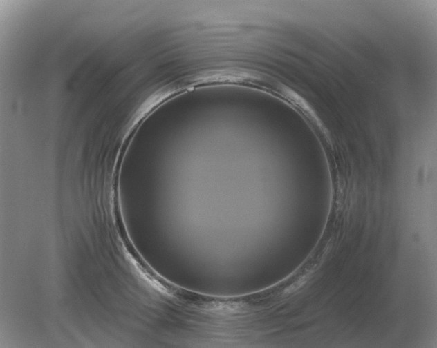X0000079320802200611251803