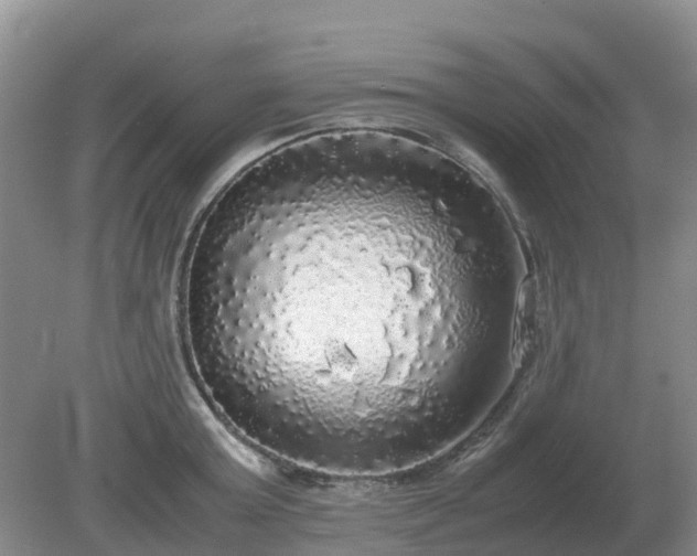 X0000079320803200611251803